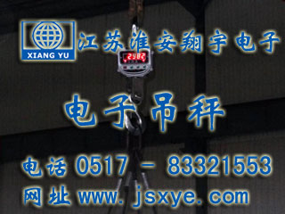 電子吊秤廠(chǎng)家江蘇淮安翔宇電子吊秤系列 1~50噸直顯電子吊秤 無(wú)線(xiàn)儀表控制電子吊秤 更多電子吊秤吊鉤秤就在www.cutesycutter.com 電話(huà)0517-83321553
